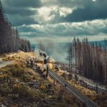 pexels-markp-2790395