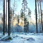 tuomas-harkonen-j38uCFxPfaY-unsplash